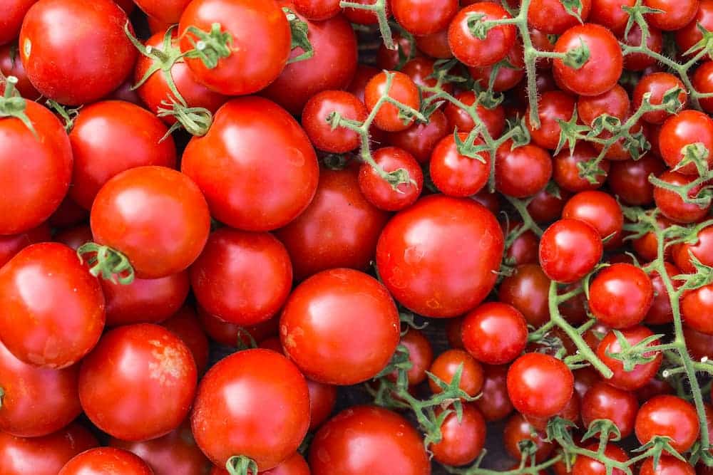 tomates confitados caseros